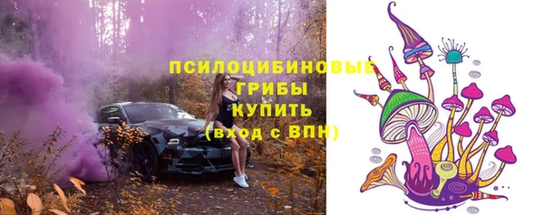 соль ск Балахна