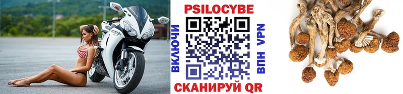 Галлюциногенные грибы прущие грибы  Великий Устюг 